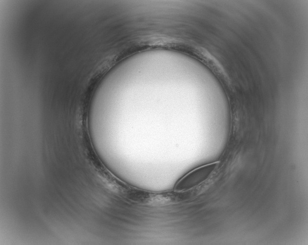 X0000074320257200609230034