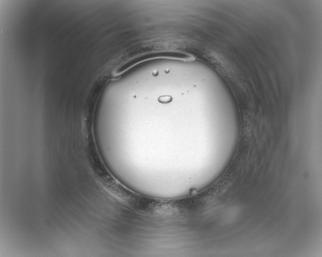 X0000074320258200609230034