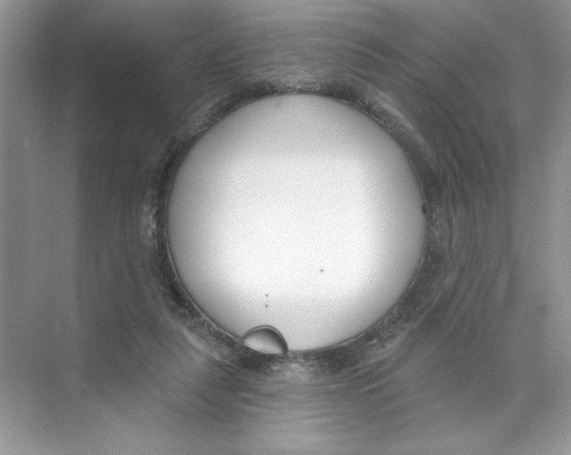 X0000074320259200609230034