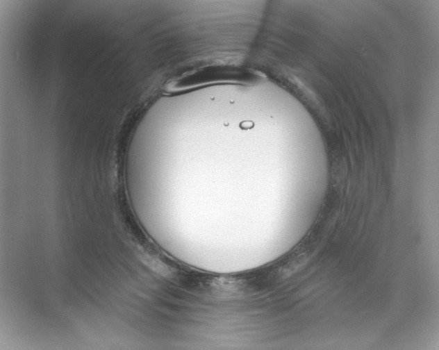 X0000074320261200609230034