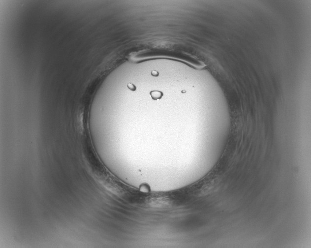 X0000074320262200609230034