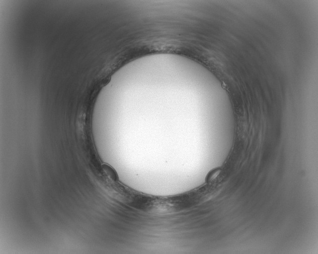 X0000074320263200609230034