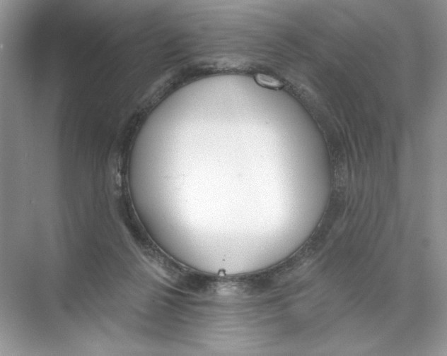 X0000074320264200609230034