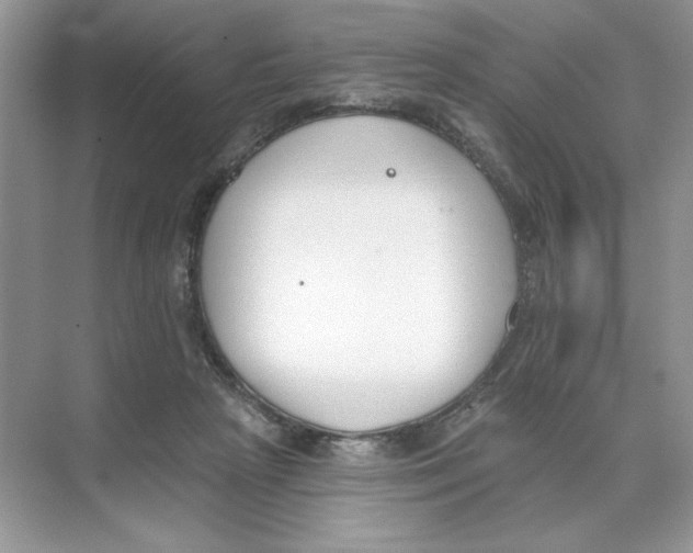 X0000074320265200609230034