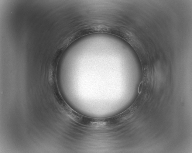 X0000074320266200609230034