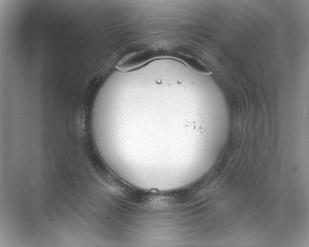 X0000074320268200609230034