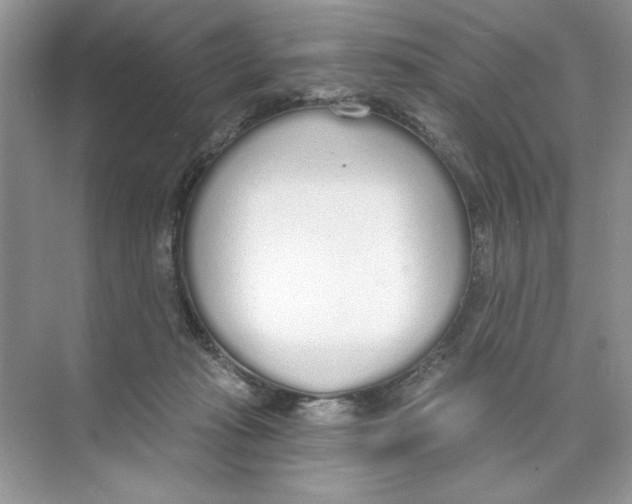 X0000074320269200609230034