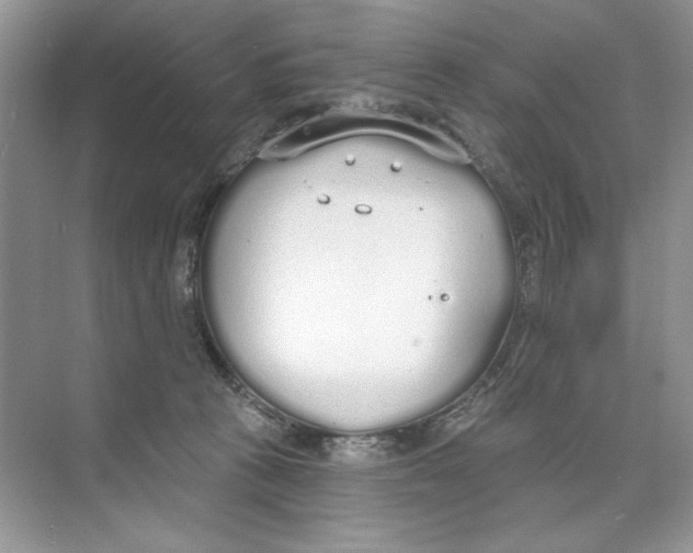 X0000074320273200609230034