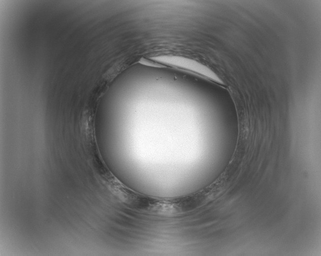 X0000074320276200609230034