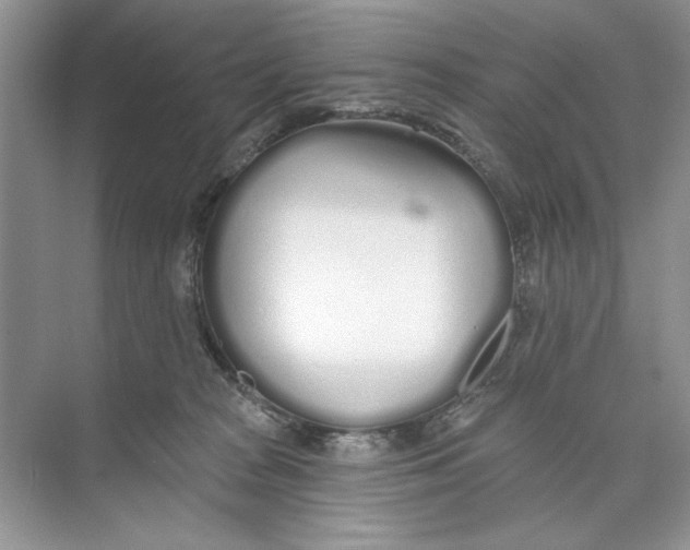 X0000074320277200609230034