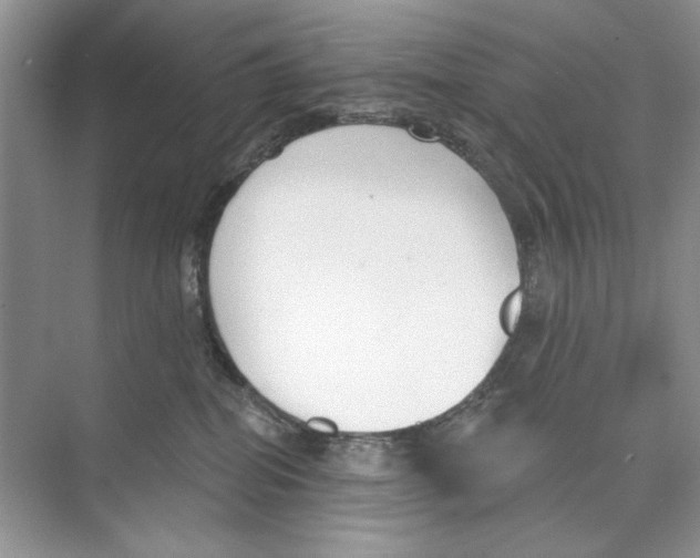 X0000074320282200609230034