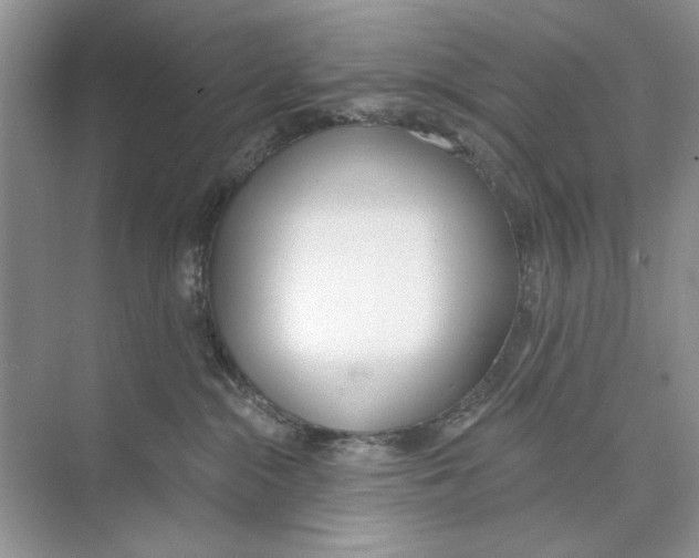 X0000074320284200609230034