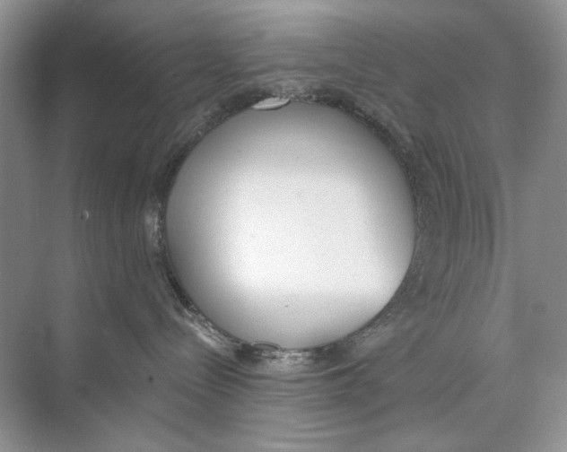 X0000074320288200609230034