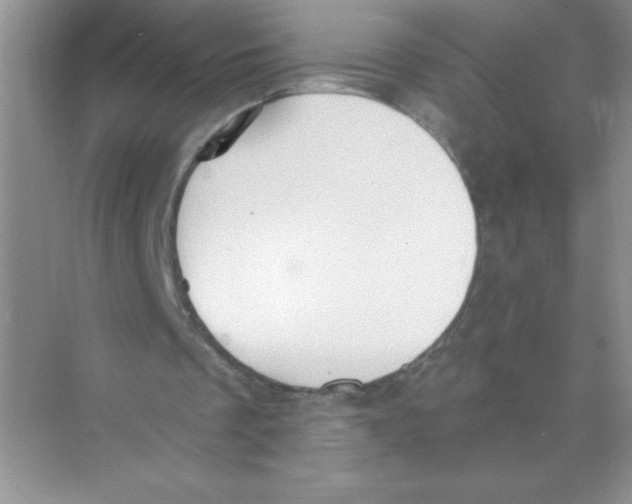 X0000074320289200609230034