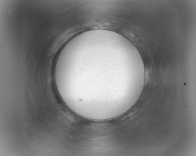 X0000074320291200609230034