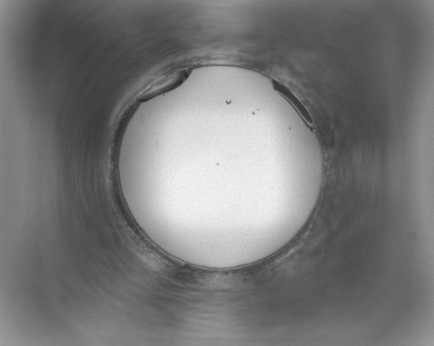 X0000074320293200609230033