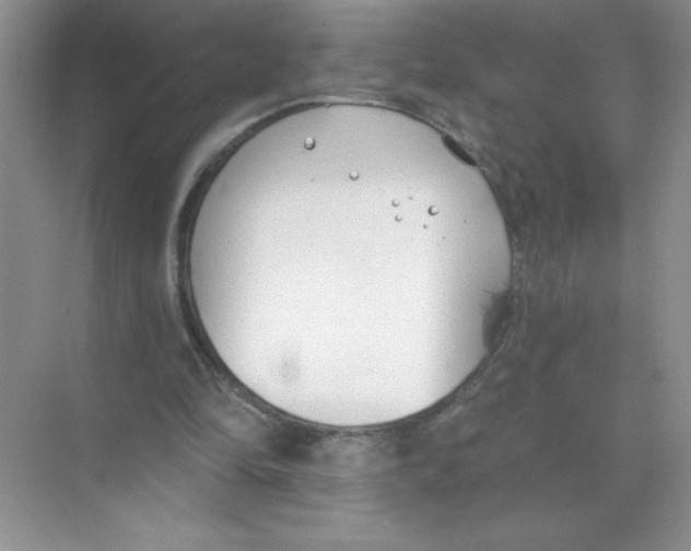 X0000074320294200609230033