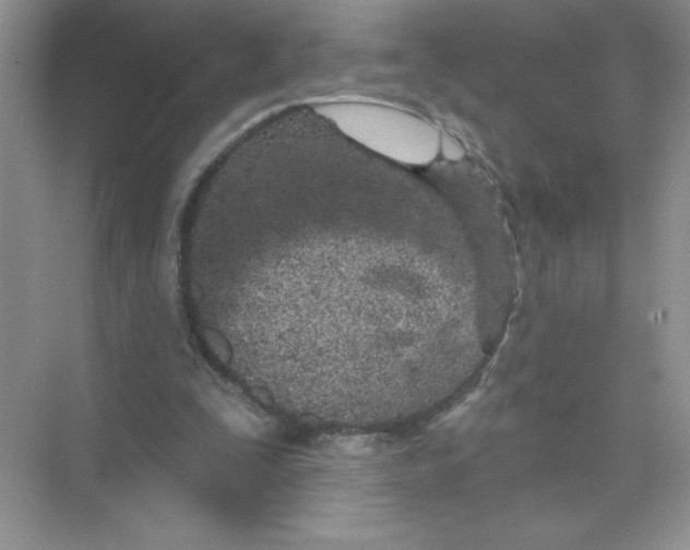 X0000074320295200609230033