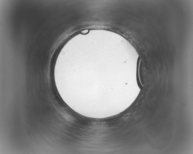 X0000074320296200609230033