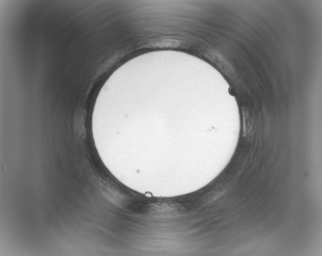 X0000074320300200609230033