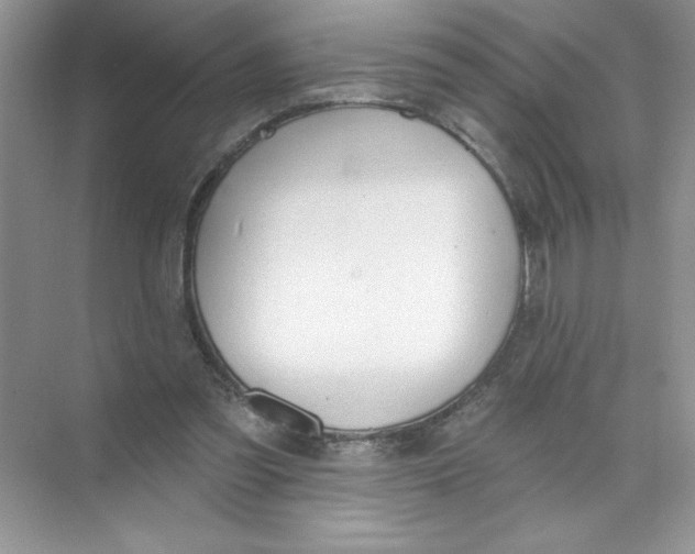 X0000074320301200609230033