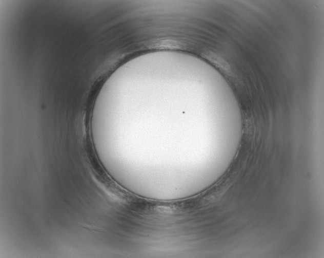 X0000074320302200609230033