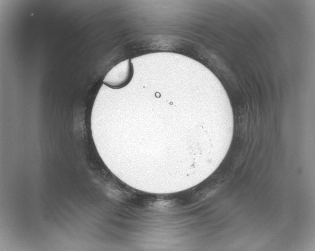 X0000074320312200609230033