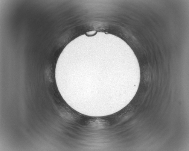 X0000074320316200609230033