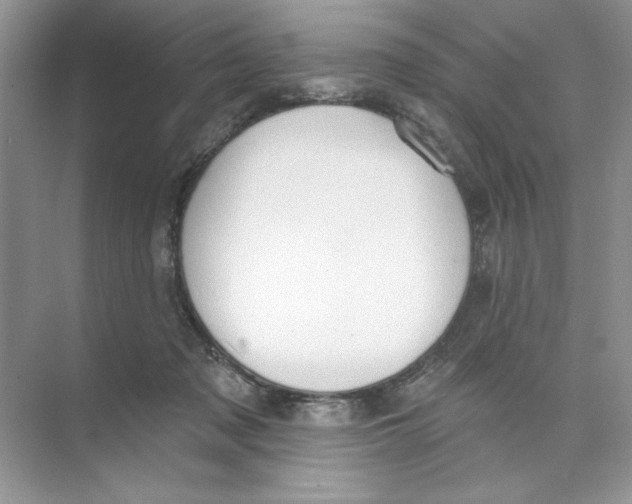 X0000074320317200609230033