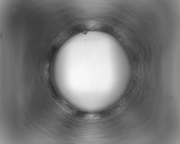 X0000074320319200609230033