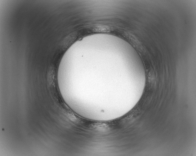 X0000074320322200609230033