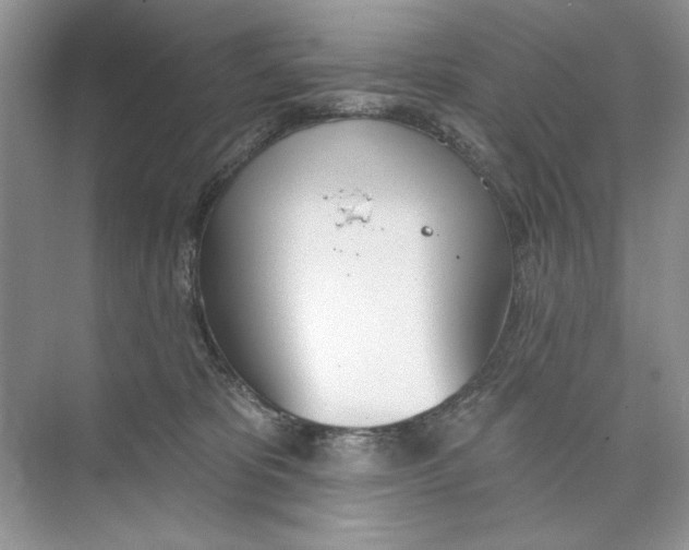 X0000074320325200609230033