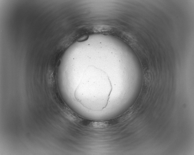 X0000074320327200609230033