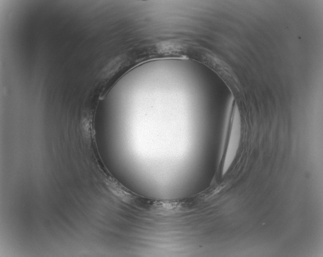 X0000074320329200609230033