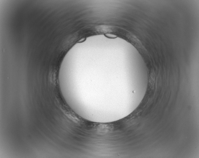 X0000074320330200609230033