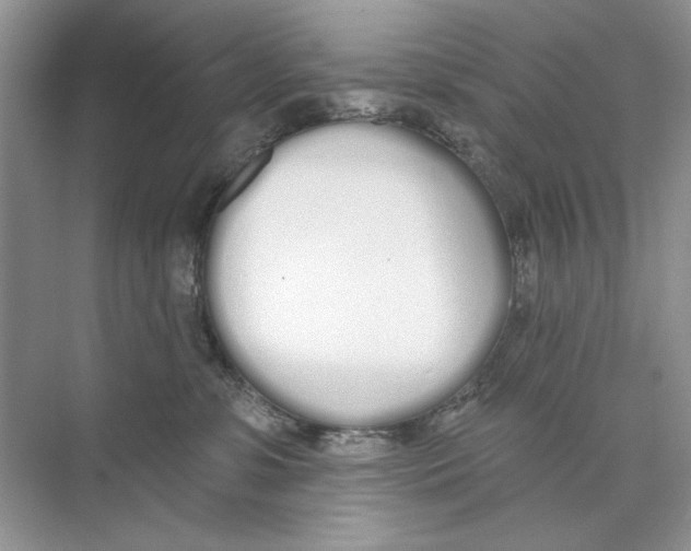 X0000074320331200609230033