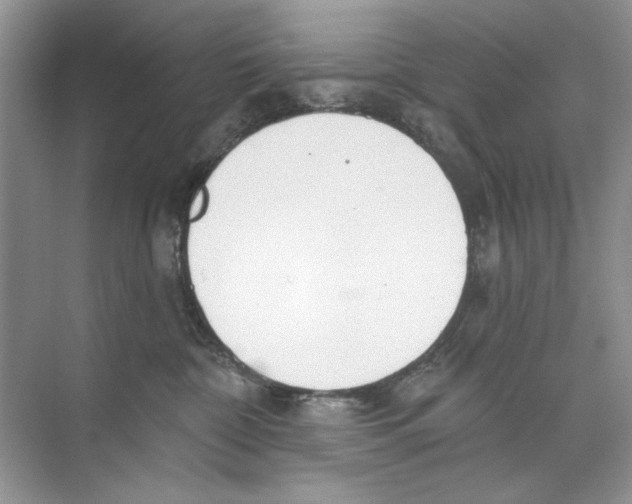 X0000074320332200609230033