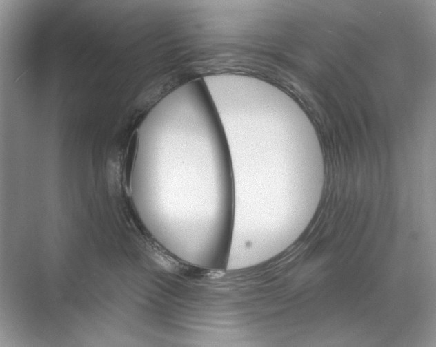 X0000074320333200609230033