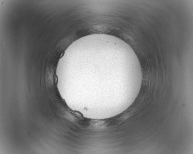 X0000074320334200609230033