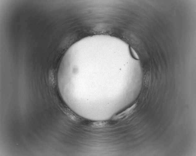 X0000074320335200609230033