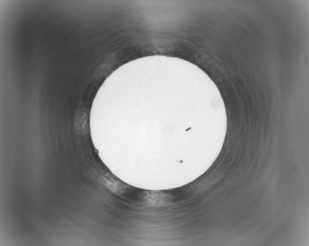 X0000074320336200609230033