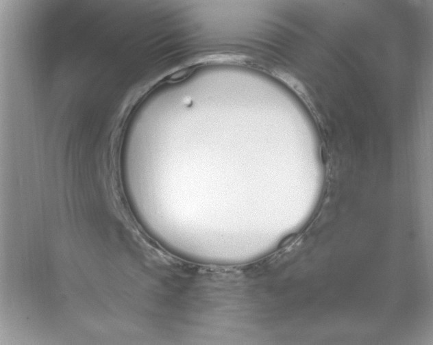 X0000074320337200609230032