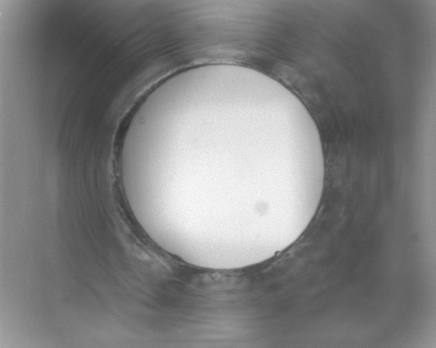 X0000074320338200609230032