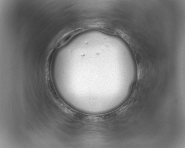 X0000074320339200609230032