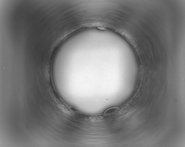 X0000074320345200609230032