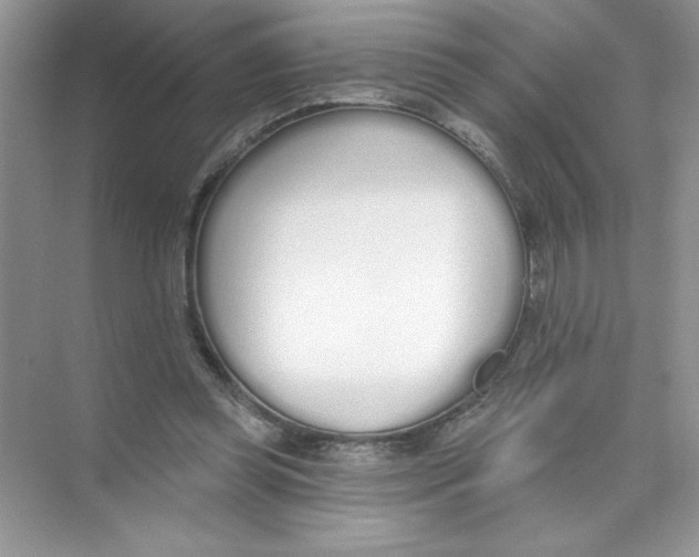 X0000074320349200609230032