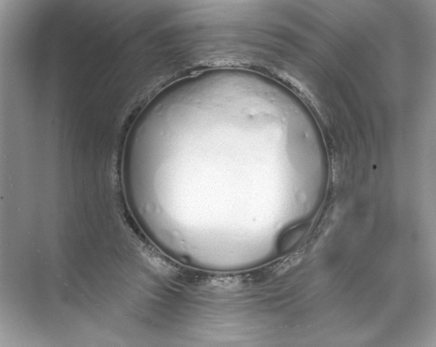 X0000074320353200609230032