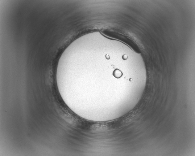 X0000074320354200609230032