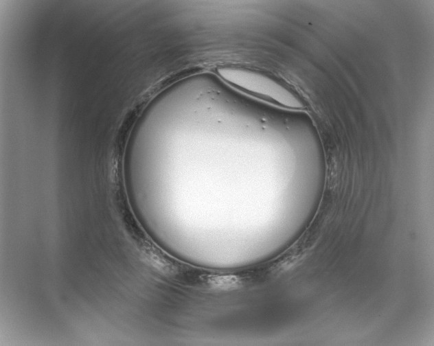 X0000074320355200609230032