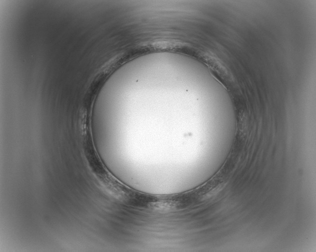 X0000074320356200609230032